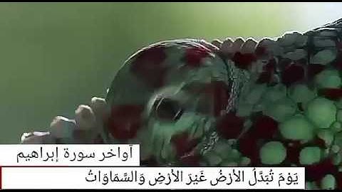 الشيخ صهيب النعيمي وماتيسر من  أواخر سورة إبراهيم