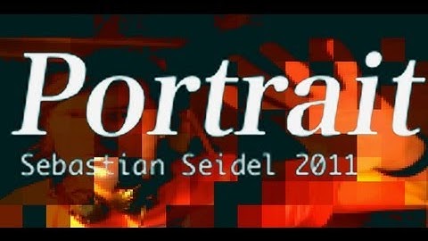 portrait - realtime video engine by Sebastian Seidel