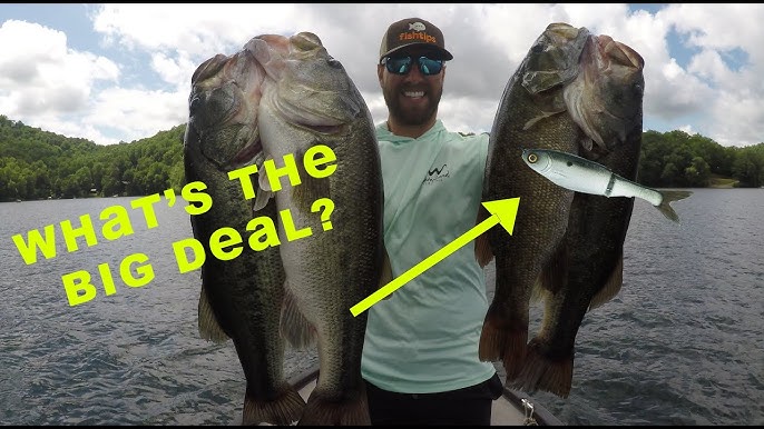 The BEST tournament GLIDE BAITS! (What makes these special!) 