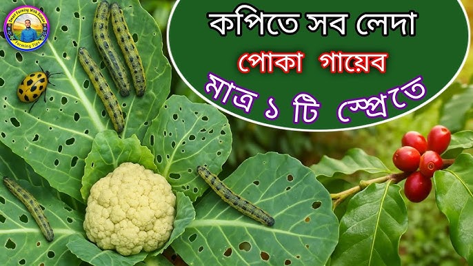 Binzak qilayotgan yoshlarning fotosuratlari