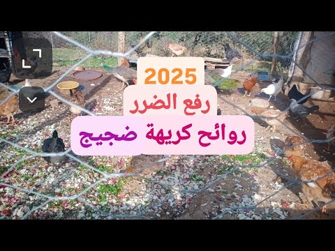 رفع الضرر حسب القانون المغربي الإجراءات و المساطر وكيفية إثبات الضرر ثم مبلغ الدعوى