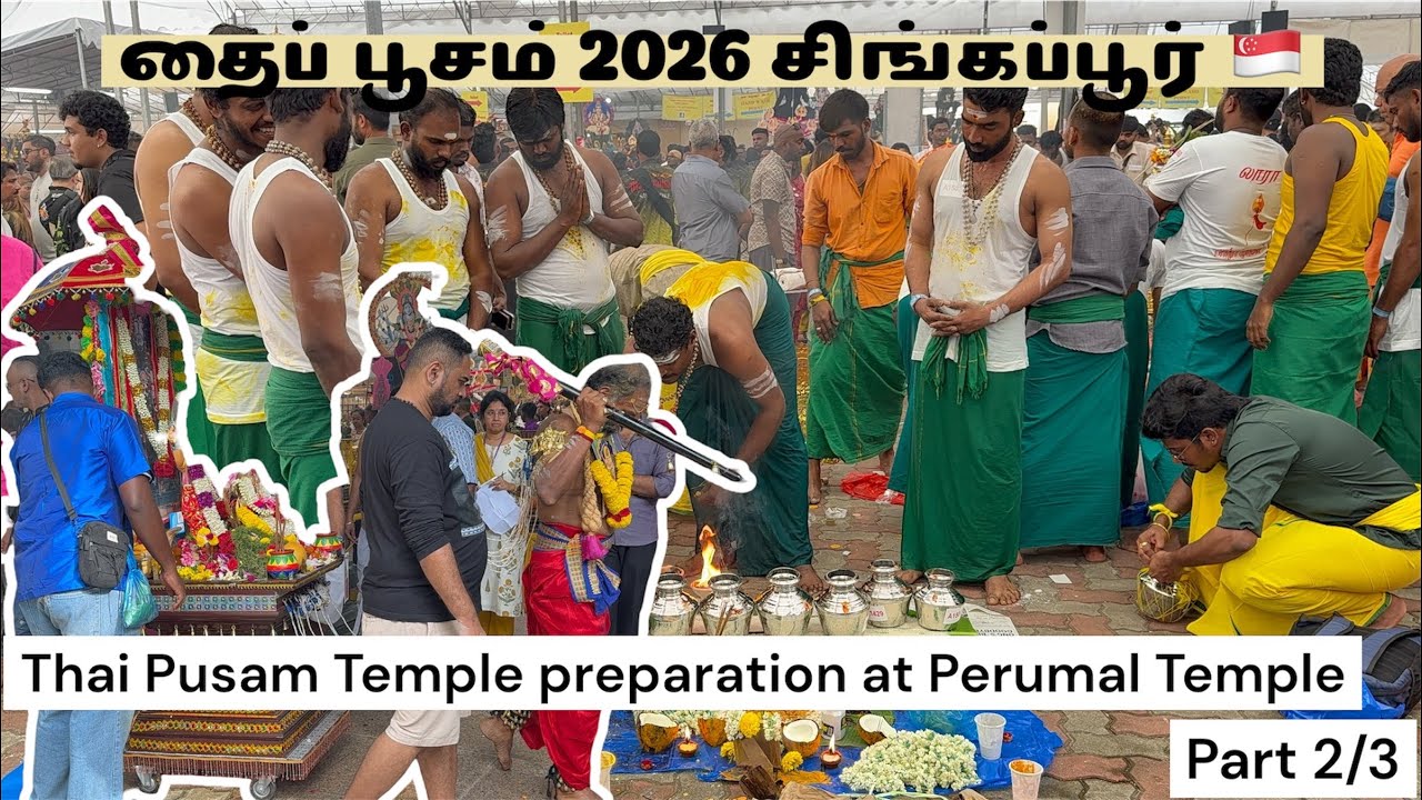 Thaipusam 2026 Singapore | பால் குடம், அலகு காவடி, ரத காவடி | சிங்கப்பூர் தைப் பூசம் 2026 #thaipusam