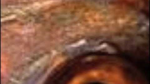 TRANSFIXIONES "YA SEI"