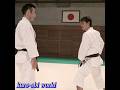 An attack that cannot be reacted to. This is Budo Karate. Tatsuya Naka sensei #karate