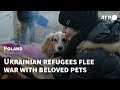 'We can't live without them': Ukrainian refugees flee with beloved pets | AFP