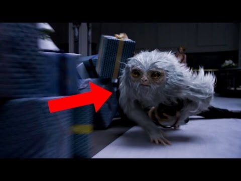Identifying the Creatures of Fantastic Beasts And Where To Find Them Trailer