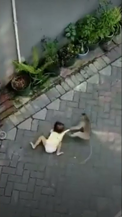 TOPENG MONYET || TANDAK BEDES || #shorts