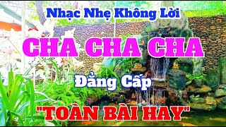 Lk Cha Cha Cha Không Lời Hay Nhất Hiện Nay | Bass Treble Hay Nhức Nách Luôn | Organ Channel