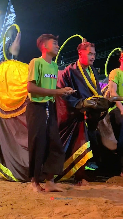 Sam Nawa Mode Jogetan Gayeng #mberot #bantengan #ndadi #kudalumping #bantenganmalang #shorts