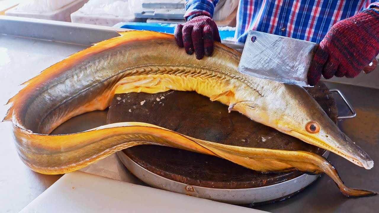 Port Seafood！Giant Yellow Conger Eel, Fried Eel, Stir-fried Squid Making / 港口最新鮮！巨大海黃鰻料理, 炸鰻魚製作-海鮮美食