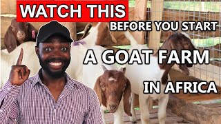 Goat Farming In Africa | How It All Started @Value Farm