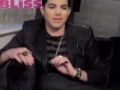 Adam Lambert In All His 'Adam-ness' :)