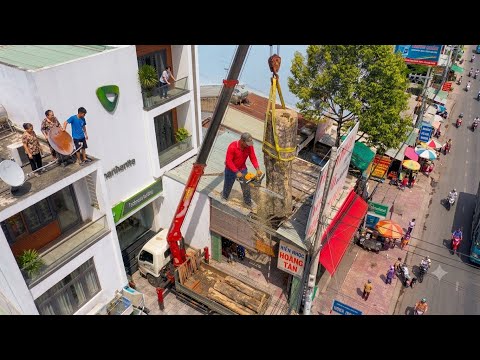 Giant Tree Crashing Through Roof: INSANE Crane Removal!