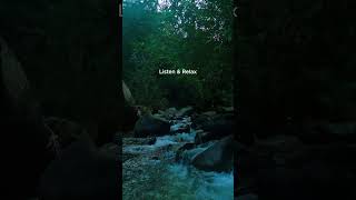 Take a Mental Break with This Peaceful River 🧘 #Shorts