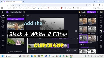 Add The Black & White 2 Filter In Clipchamp