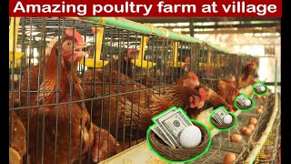 Amazing poultry farm at village (FARMING)