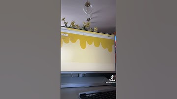 Here’s a little sneak peak on the bakery website that I’m working on 🍰