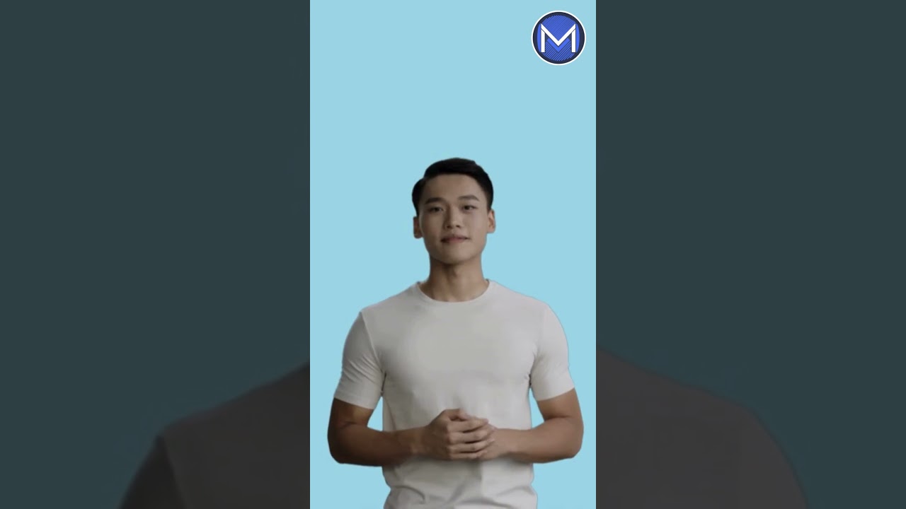 SEO Basics for Beginners: A Quick Guide to Improve Website Visibility | Markify Digital