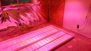 Start of my indoor room🖒✌💨