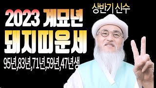 ◎ 2023년 계묘년 돼지띠 운세   두 가지 행운대박이 상반기를 활짝연다(95년,83년,71년,59년,47…