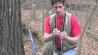 Tree Coring Part 3