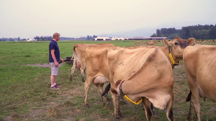Local organic dairy hit by unfair water rules