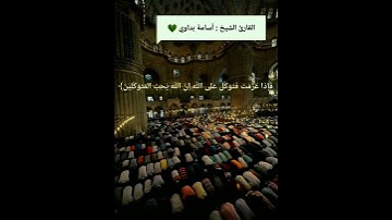 القارئ  أسامة بداوي:فإذا عزمت فتوكل على الله إن الله يحب المتوكلين