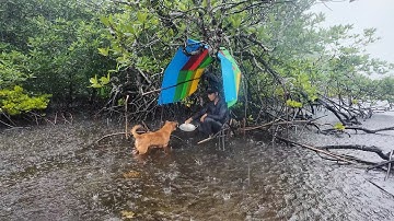 Heavy Rain Survival in Mangrove Forest | Building a Floating Shelter with My Dog!