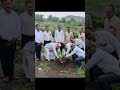 वृक्षारोपण...