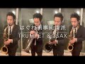 【はぐれ刑事純情派テーマ曲】サックス奏者が一年間トランペットを練習してみた【藤田淳之介】
