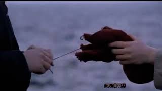 Acıma Acımadan, Acımla Alay Etmeden, Şifa Vaat Etmeden..