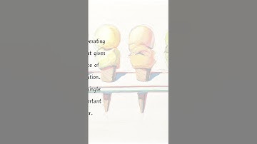 Unity (#7) l Design principles  #art #artworks  #illustration