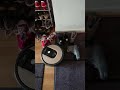 Roomba eats shoelace and drags shoe with it.