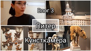 Поездка в Питер с классом/Кунсткамера