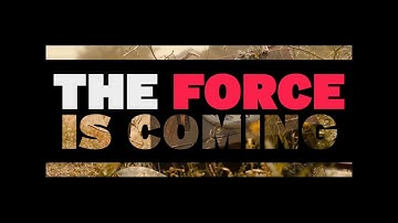 Review of the HEAD Gravity bag range by pdhsports.com