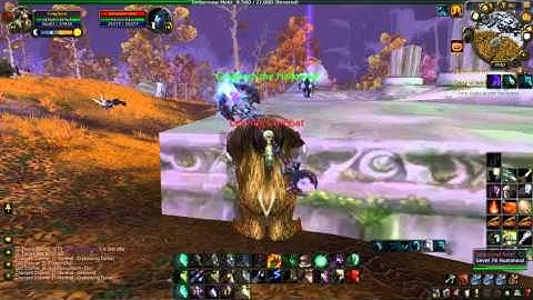 World of warcraft moonkin bug