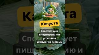 Польза капусты для здоровья | Преимущества капусты | Польза капусты для здоровья