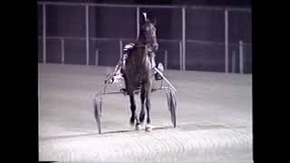 2004 Scioto Downs HELLO POPPA Dean Collins