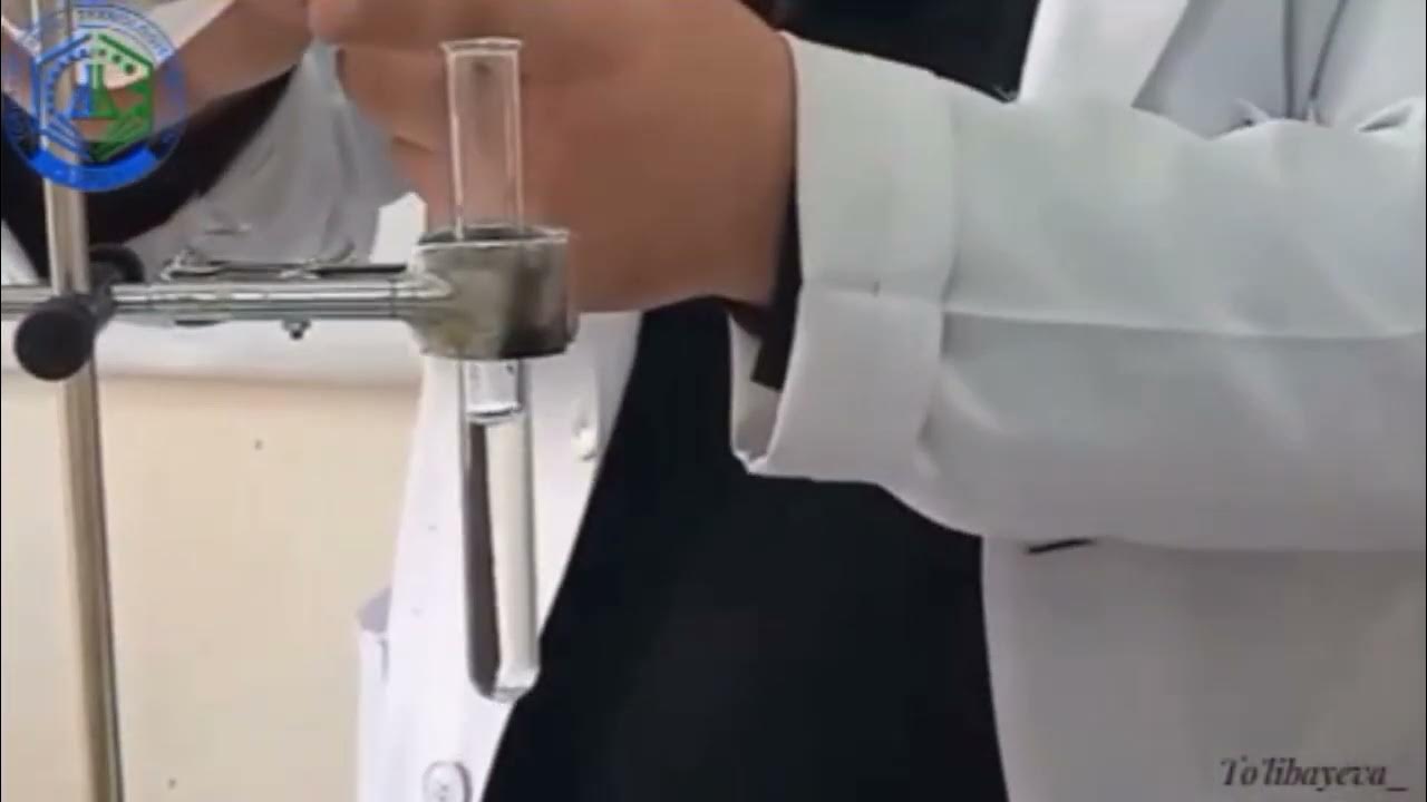 Qadimgi juftliklar jinsiy aloqada bolishadi