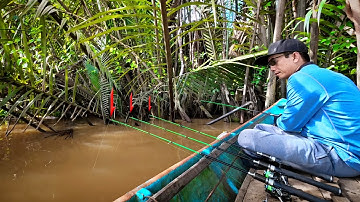Mysterious pressure while fishing for shrimp