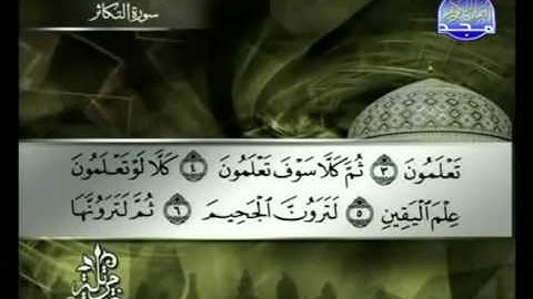 سورة التكاثر الشيخ توفيق الصائغ