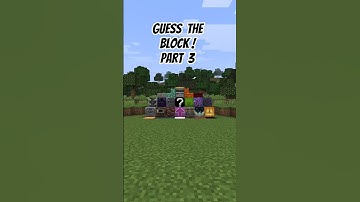 Guess the BLOCK Before The Video Ends! Part 3