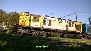 MANIOBRA SIMULTÁNEA TRENES ARGENTINOS CARGAS EN SOLDINI