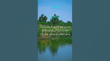 من عمل سيئة فلا يجزى إلا مثلها | سورة غافر القارئ: الحاج عامر الكاظمي