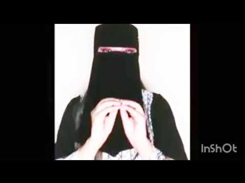 شجره رقم 3معلومات 