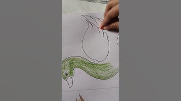 6days easy bird drawing challenge day 5 duck drawing #art #shortvideo #drawing #painting
