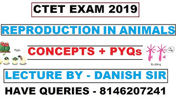 Reproduction in Animals - Concept + PYQs - EVS ||CTET|KVS|HTET|PSTET|UPTET|MPTET|RAJTET
