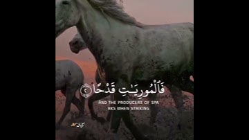 سورة العاديات قراءه خاشعه🤍🍃