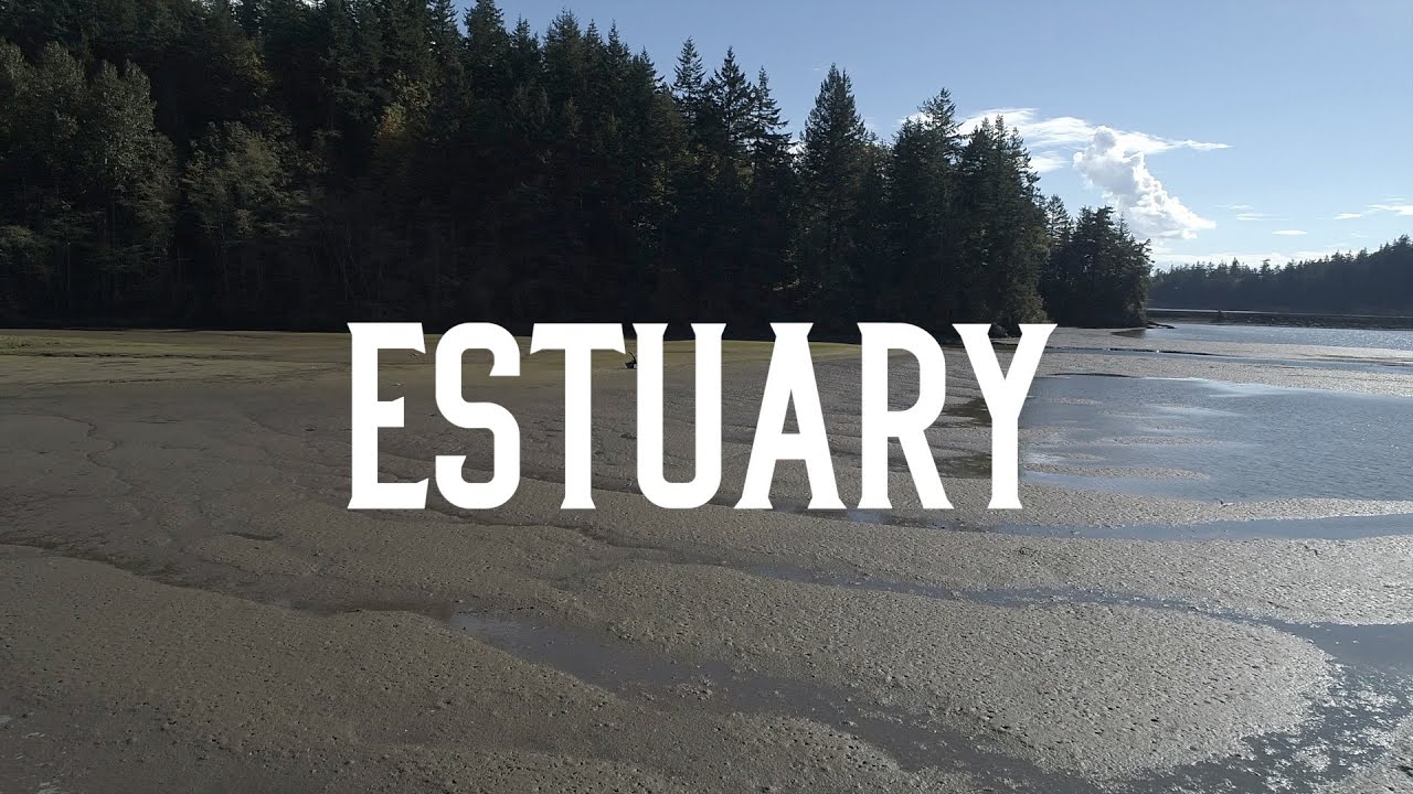 Estuaries