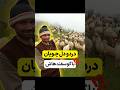 روزی چوپانی از گوسفندش پرسید روزی چوپانی از گوسفندش پرسید